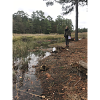 Kingtide Troop 824 image